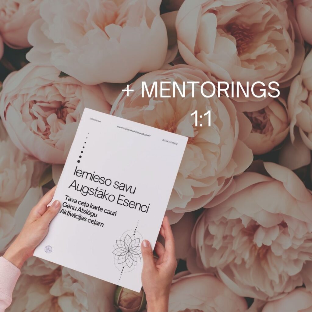 PDF personalizēts ceļvedis + 1:1 Mentorings