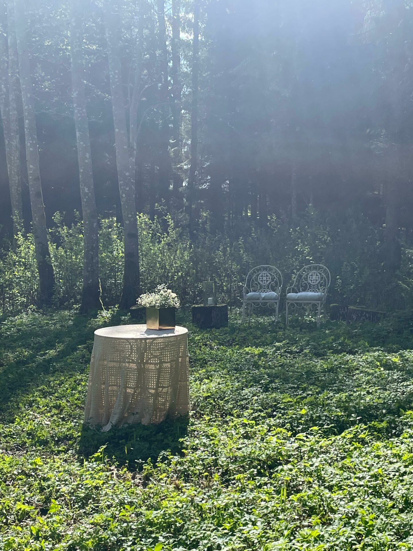 Hortus Paradisum/ Vieta retrītiem/ Vieta semināriem/ Pirts galerijas attēls
