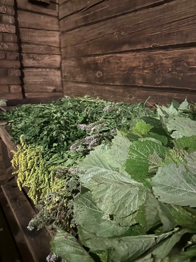 Inese Vasiļevska/ Pirts rituāli Tev galerijas attēls 6