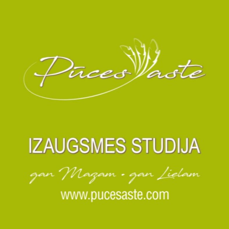 Margarita Logo