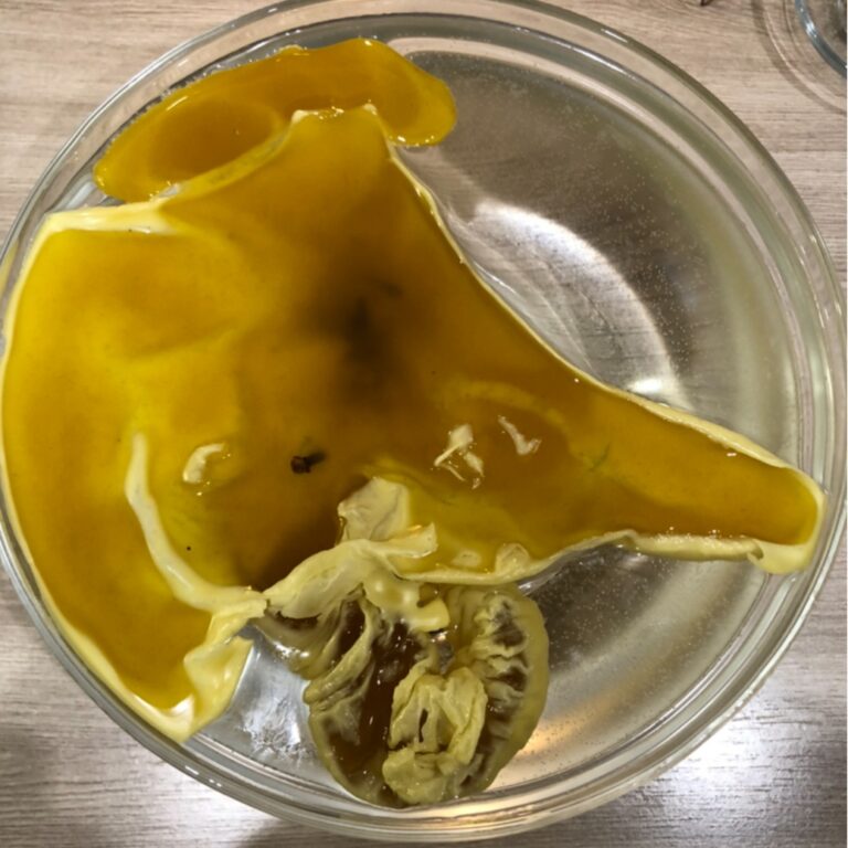 ИСЦЕЛЕНИЕ ЭНЕРГЕТИКИ 3 ОТЛИВКАМИ ПЧЕЛИНЫМ ВОСКОМ