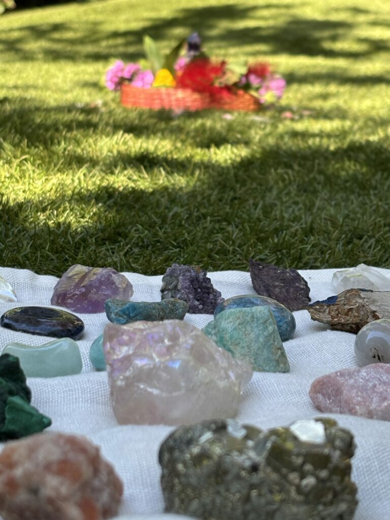 Es esmu Agnese Appleby galerijas attēls 8