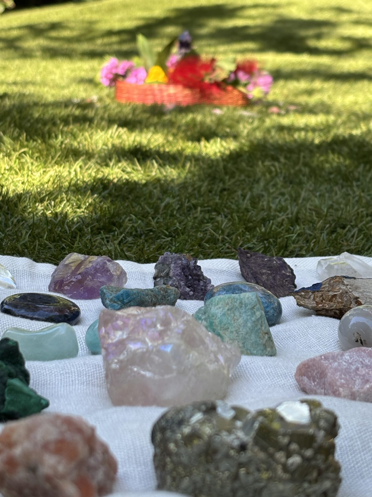 Es esmu Agnese Appleby galerijas attēls