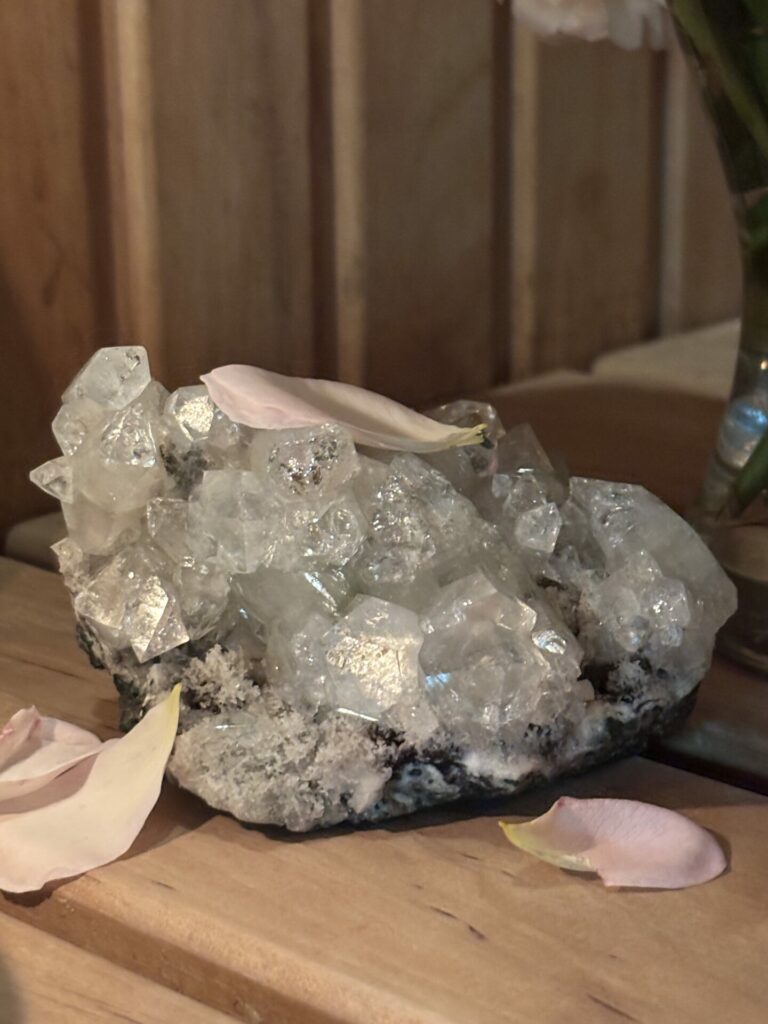 Es esmu Agnese Appleby galerijas attēls 4