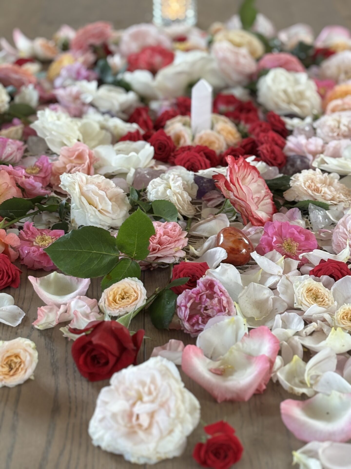 Es esmu Agnese Appleby galerijas attēls