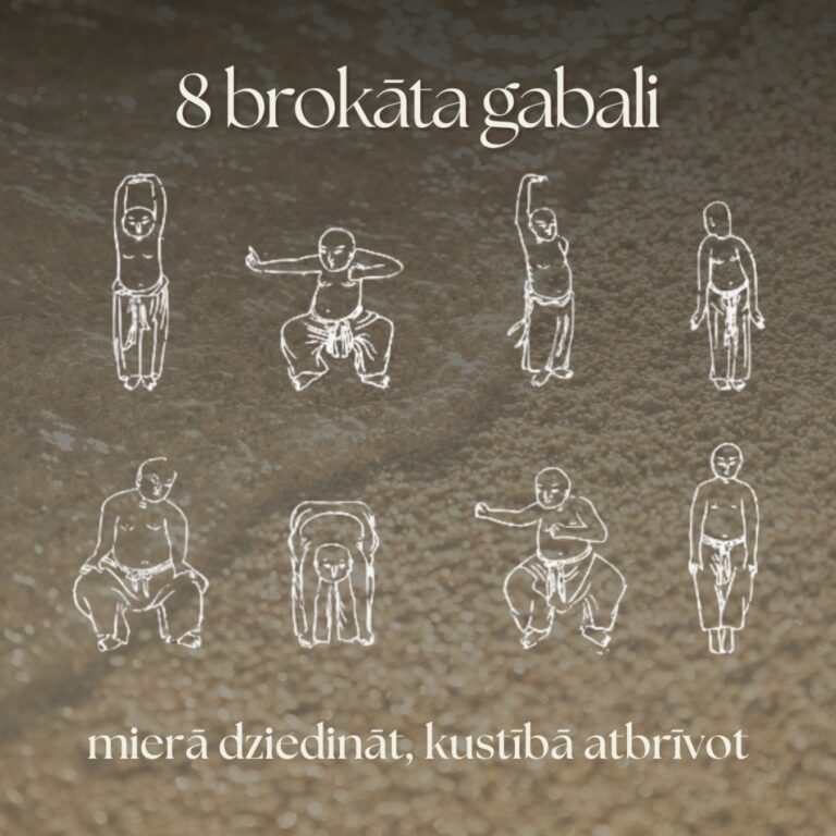 Kurss "8 brokāta gabali"