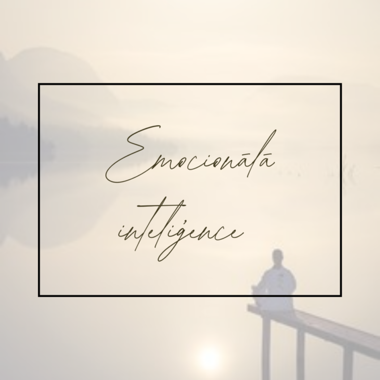 Emocionālās inteliģences sesija