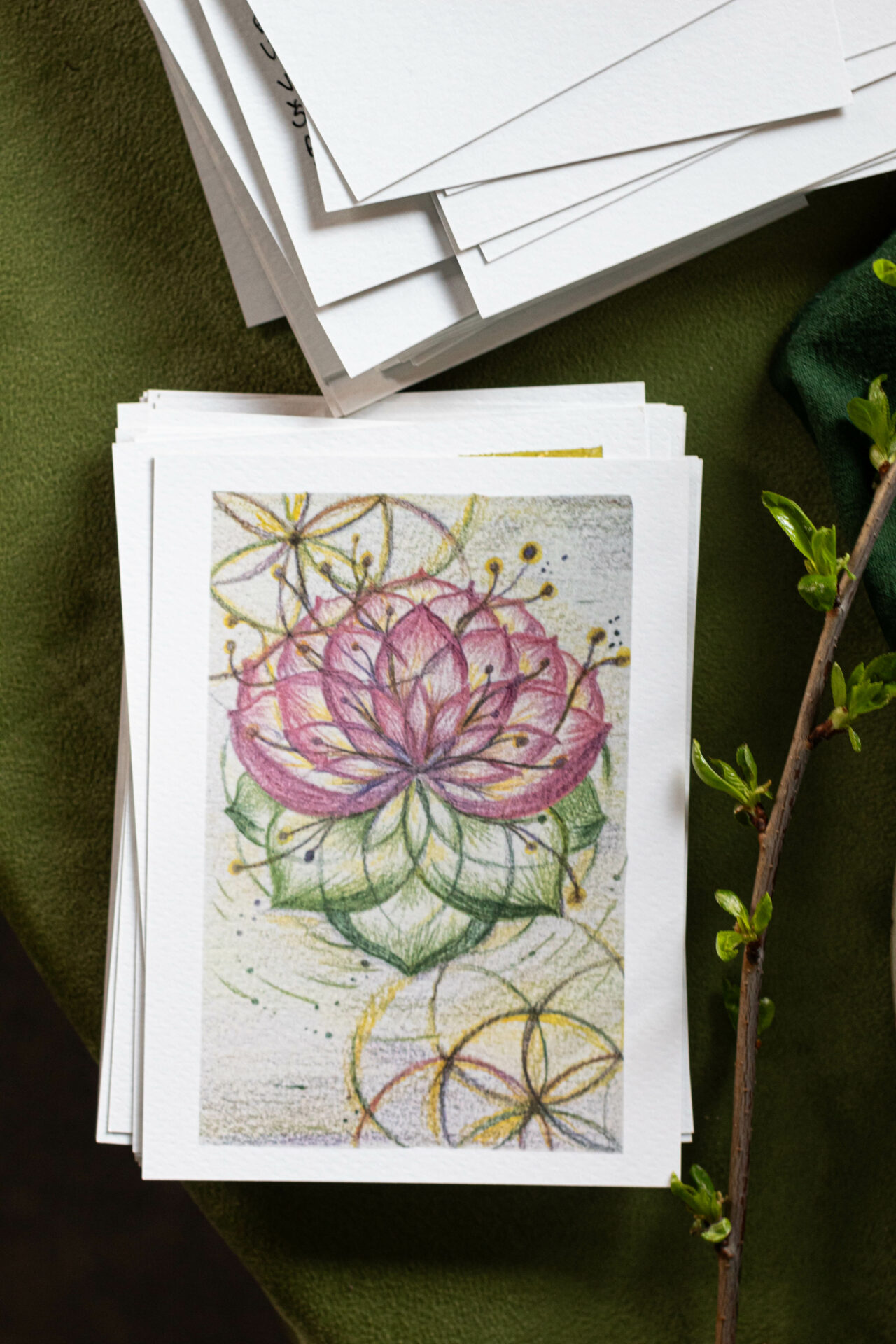 Terēze Velme galerijas attēls