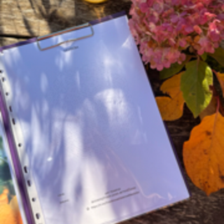 🌸 Pavadoša Gaismas Mandalu terapija