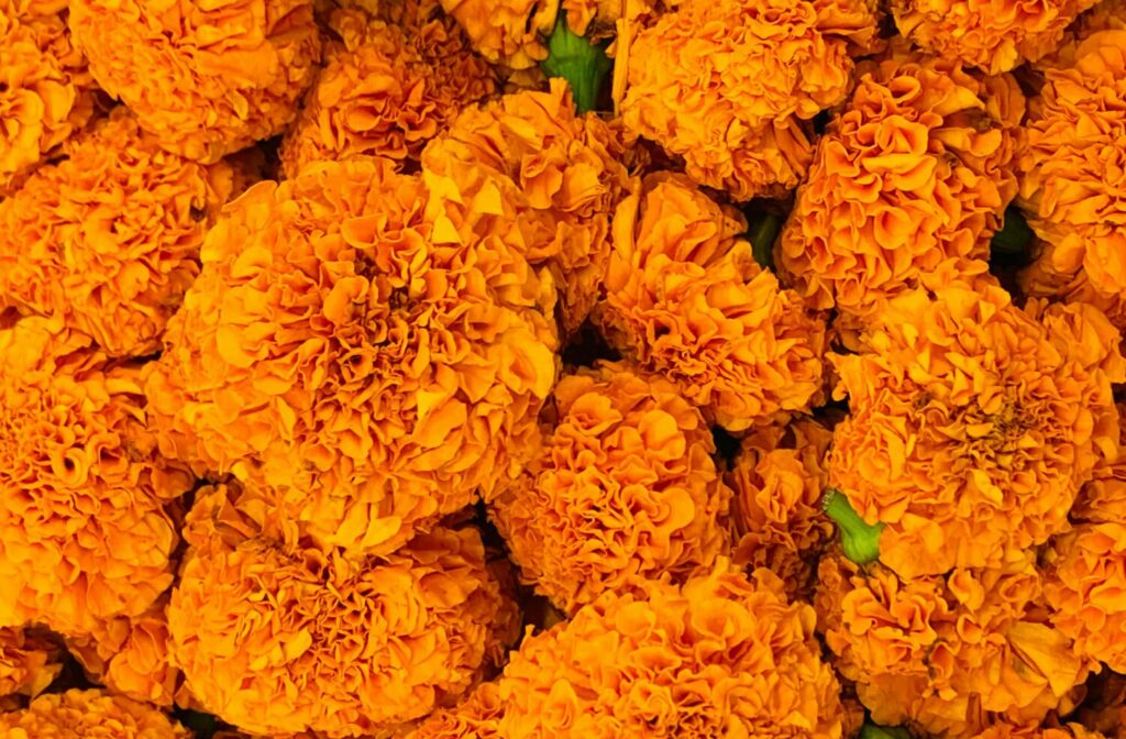 Numeroloģiskās noskaņas novembrī