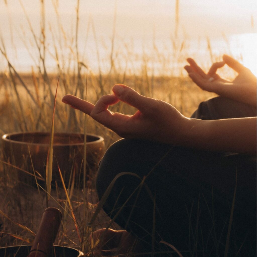 Vera Serkeviča VS studija