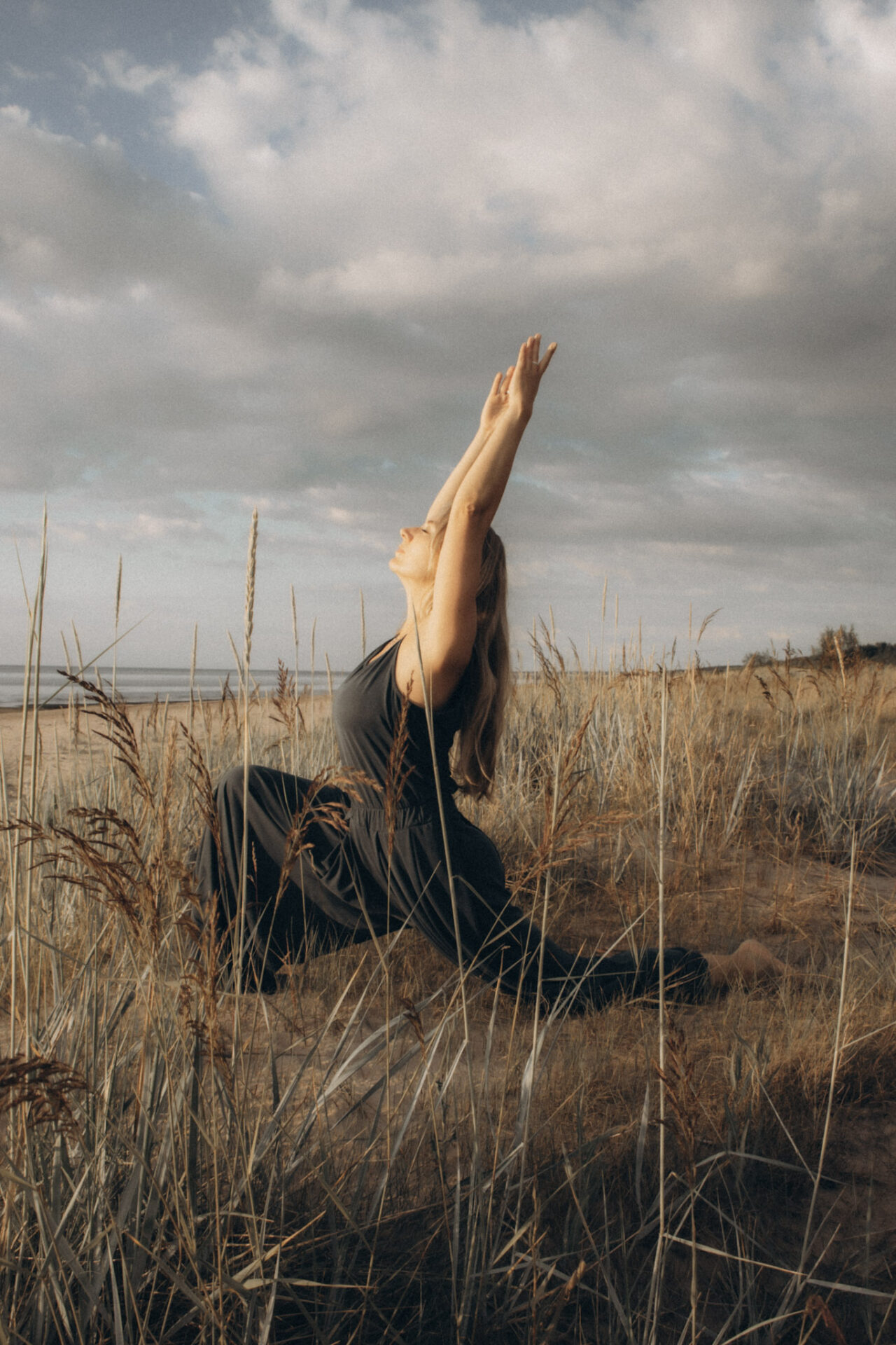 Vera Serkeviča - VS studija galerijas attēls