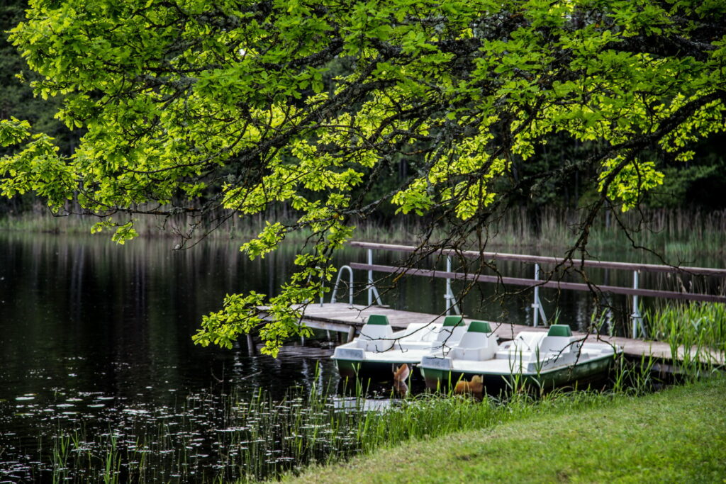 Viesu nams "Mednieki" retrītiem galerijas attēls 10