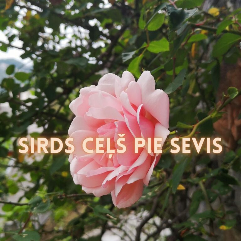 Sirds ceļš pie sevis