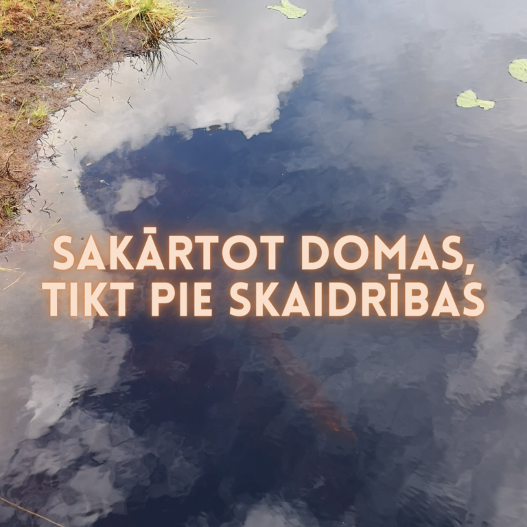 Sakārtot domas - tikt pie skaidrības