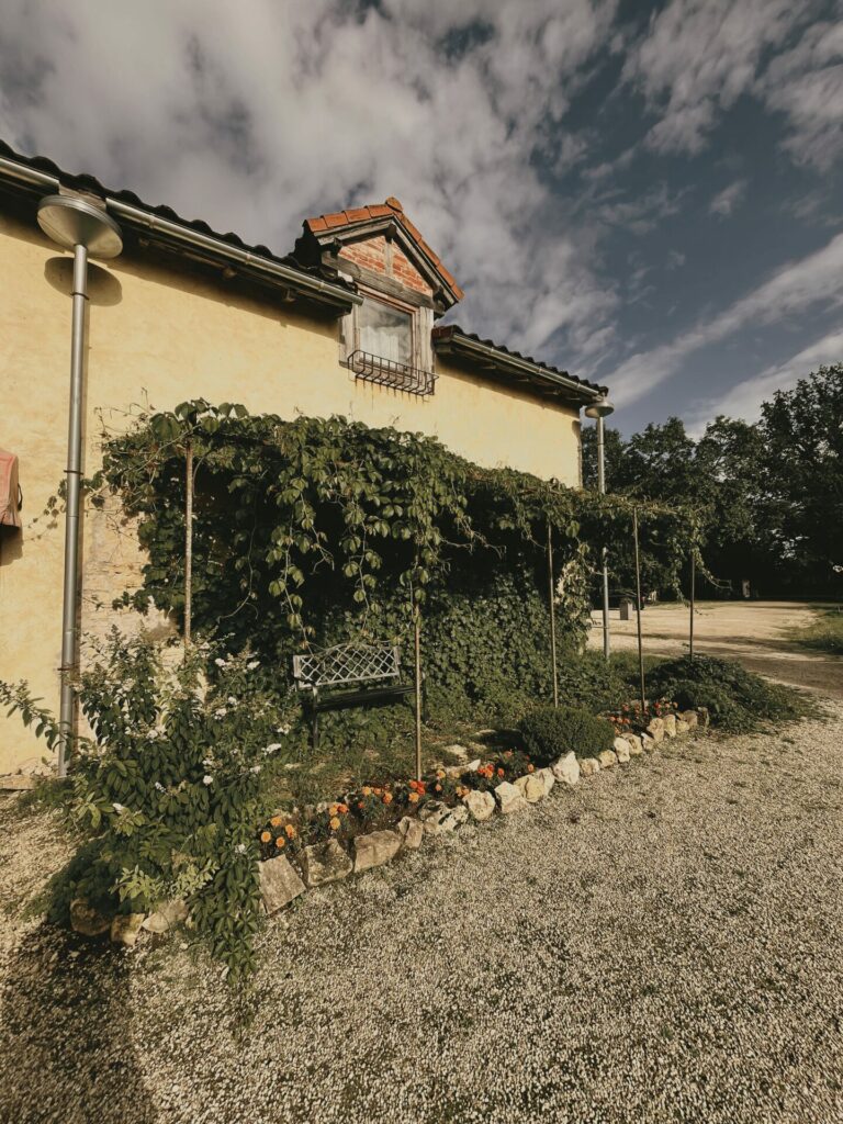 "SPA Koknese" | siltums | dabiskums | laiks sev galerijas attēls 9