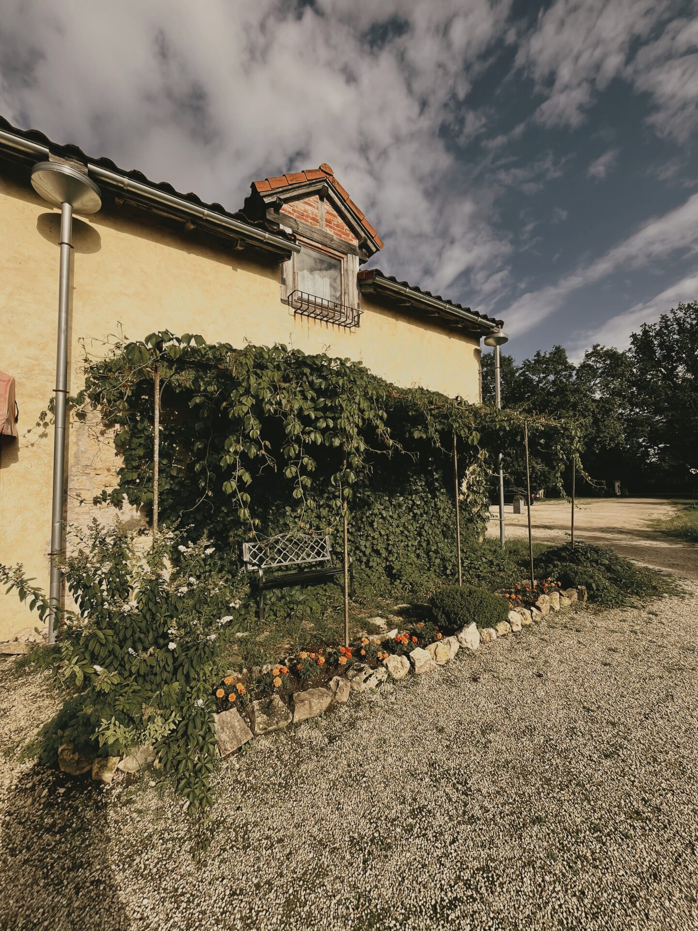 "SPA Koknese" | siltums | dabiskums | laiks sev galerijas attēls