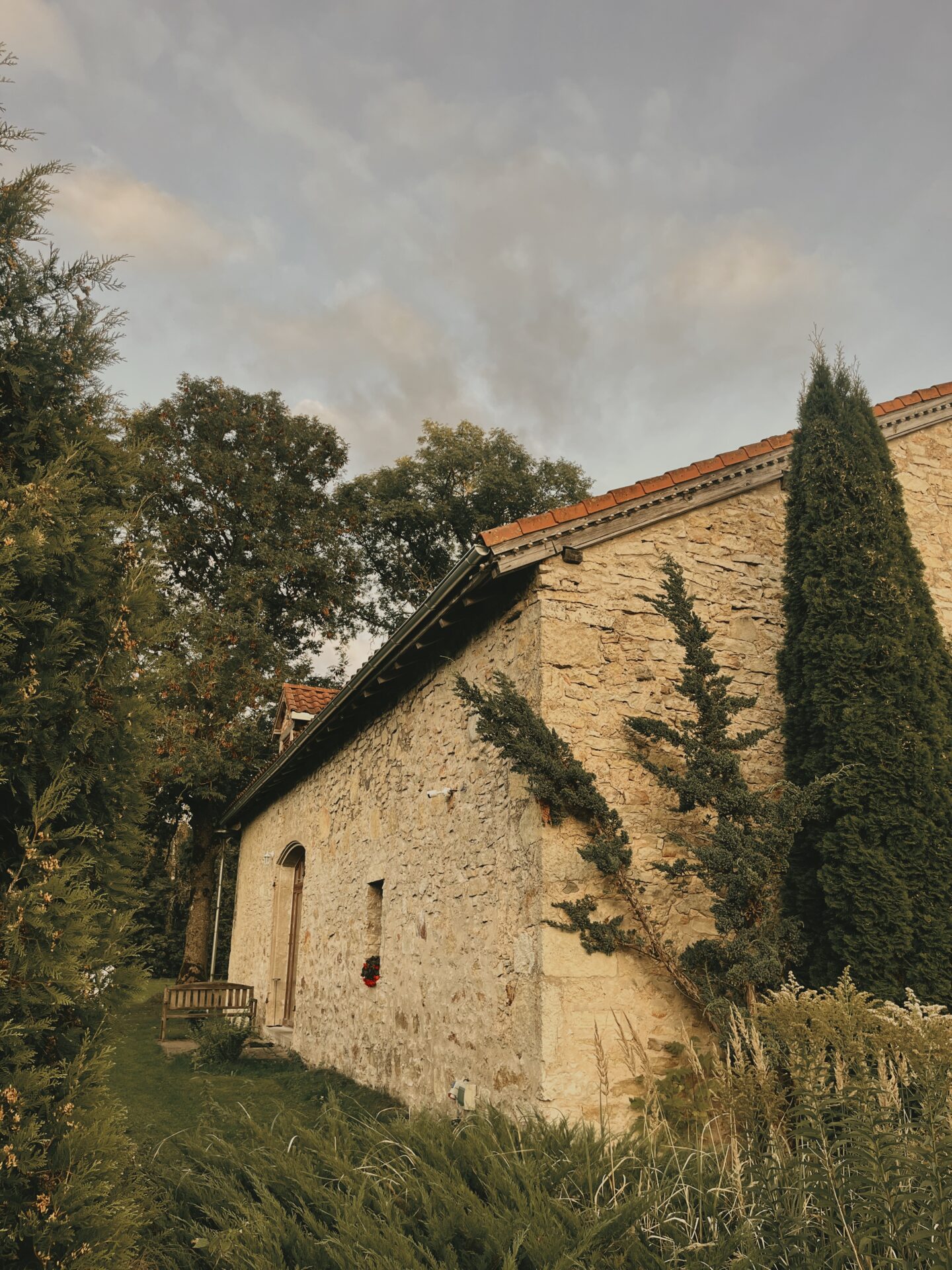 "SPA Koknese" | siltums | dabiskums | laiks sev galerijas attēls