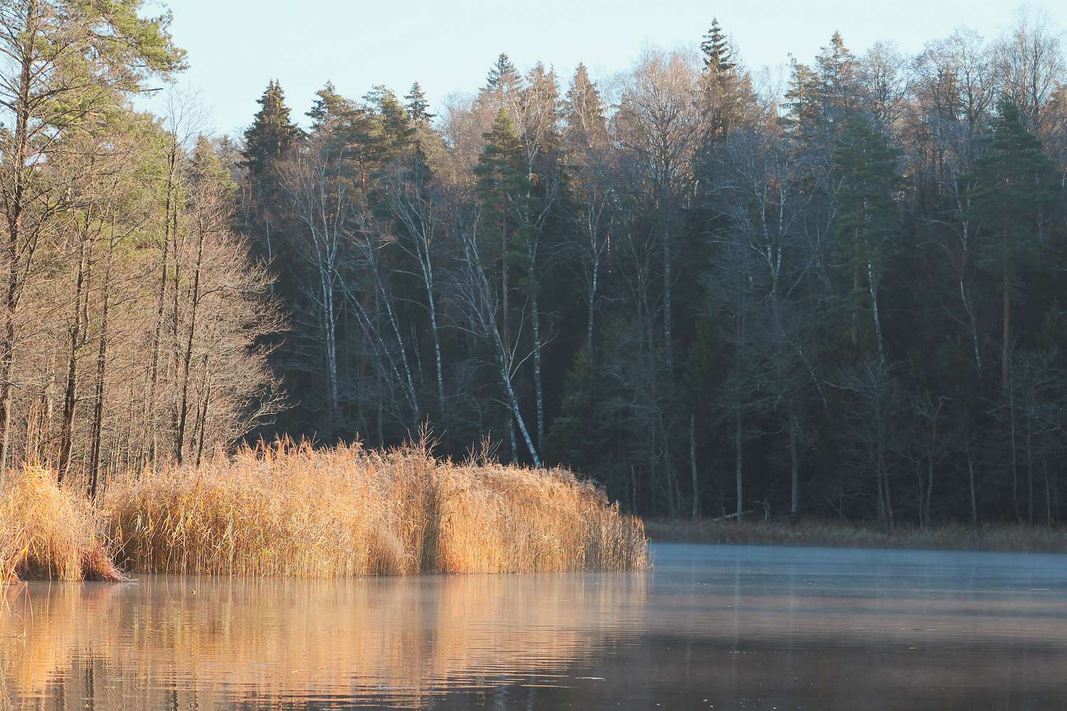 Ieeja/ Meditatīvas pastaigas dabā/ Klusuma meditācija galerijas attēls