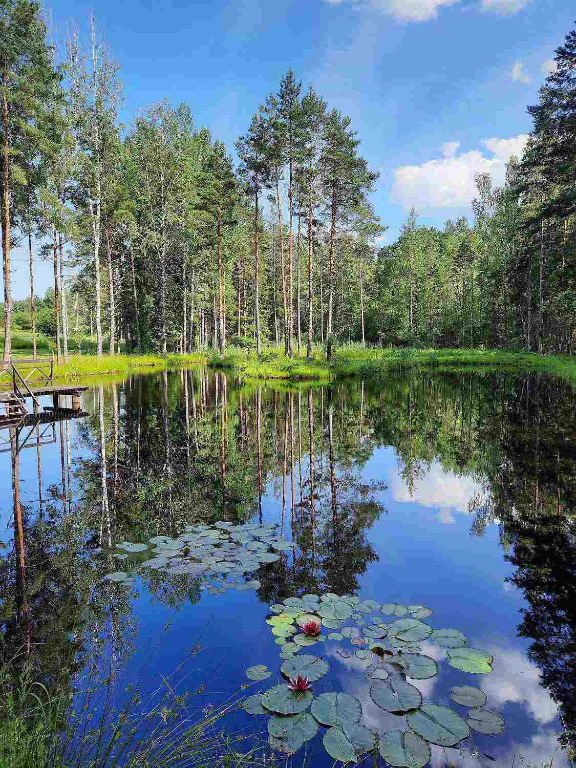 Sajūtu pirtiņa Kārļos/ Pirts rituāls galerijas attēls