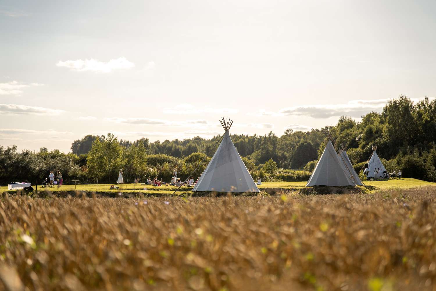 Nomadic Homes tipi teltis/ Vigvami/ Tipi Village - vieta retrītiem galerijas attēls